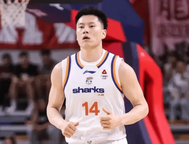 开云体育官网-CBA最佳阵容3人成大赢家！李弘权逐步提升，庞峥麟+徐昕获认可！